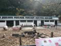 Alumni Outing (2)